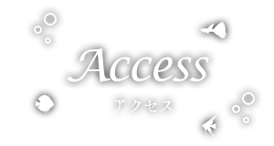 アクセス